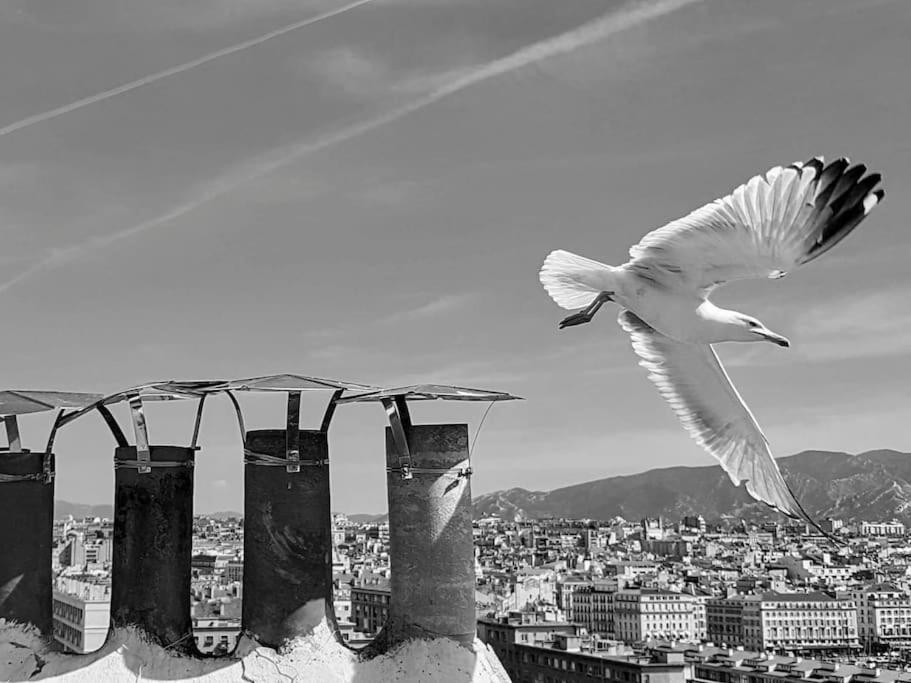 마르세유 Escapade Marseillaise Pres Des Terrasses Du Port 아파트 외부 사진